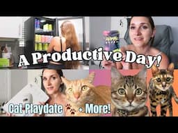 Productive Day in the Life | Cleaning, Hair Dye,  Kitty Playdate & More 🙌🏼🐾