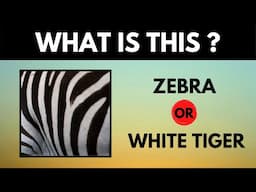 Zoomed-In Picture Puzzles | Can You Guess The Object Game?