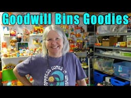 What We Found At The Goodwill Outlet & A Gift From Tracy