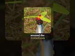 The Cyclone Drone Tri-Mode VTOL RC aircraft by Nick Rehm!