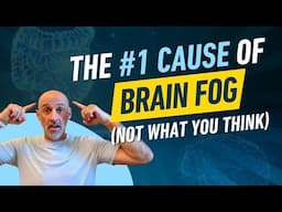 Brain Fog & Gut Inflammation: The Hidden Crisis of the Digital Age