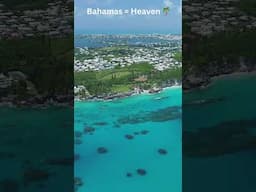 Bahamas in 59 Seconds: Pure Paradise! ✨