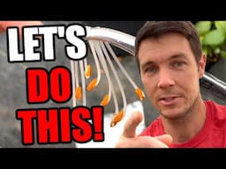 How to Make Hybrid Plants | Rhododendron Propagation through Cross Pollination