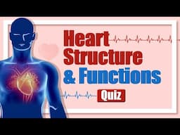 Heart Structure & Functions Quiz | Human Circulatory System Quiz - Heart Chambers, Valves, & Vessels
