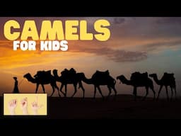 ASL Camels for Kids