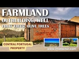 🌾 Farmland | Outbuilding, Well and Fruit Trees | Sto André Tojeiras - Castelo Branco | €24900