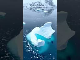 Is Antarctica on your bucket list? 🇦🇶 🐧 #antarctica #drakepassage #antarcticaoriginal #travel