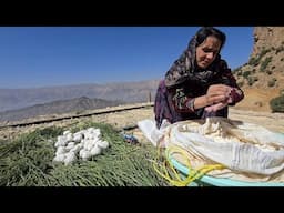Beautifully helping her mother milk the goats and make curd