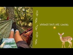 Warmer days are coming [Playlist] ☀️🐛