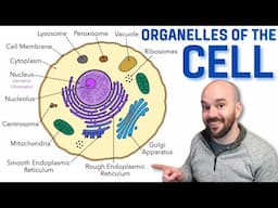 The Cell and its Organelles