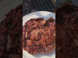 Grillin Slinger: Beef, birds and koala #short