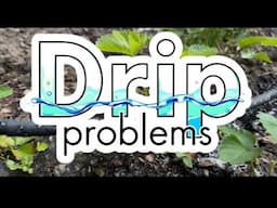 What Happened to the Drip System?
