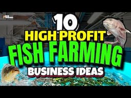 10 BEST Fish to Farm for Ultimate Awesome PROFIT!