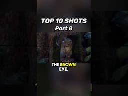 Top 10 Shots with the EDgun Leshiy 2 (Part 8)