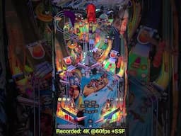 Zaccaria Shooting the Rapids Deluxe on the Legends Pinball 4K