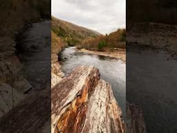 The D&L Trail | Lehigh Gorge State Park.