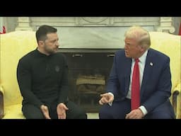 Провал переговоров Трампа и Зеленского