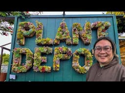 From Agave to ZZ and Everything in Between at Plant Depot