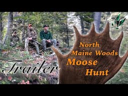 NICE BULL! Trailer: A North Maine Woods moose hunt with Hal Blood
