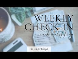 weekly check-in | cash unstuffing | expense tracking | what i bought this week