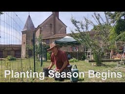 Fruit Trees, Seedlings and Sunshine - Citadelle Life Episode 264