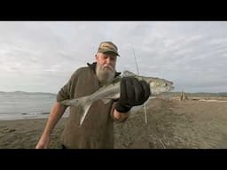 Catch & Cook Gisborne New Zealand