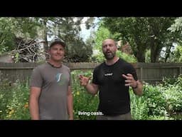 Hillcrest Homestead | Verge Spotlight