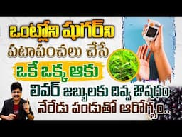 ఒంట్లో షుగర్‌ని పటాపంచలు చేసే నేరేడు | Natural Remedy for Diabetes, Liver Health & Constipation