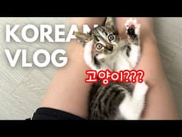 Burnt out... then this happened! (Test How Much You Understand This Vlog 🎧🐾)