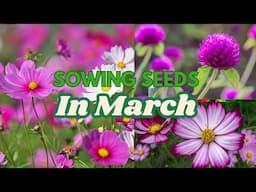 Starting Seeds in March for Beautiful Summer Blooms! 🌸🌿🍃 What Seeds to Sow in March 🍃