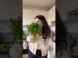 Mini vlog