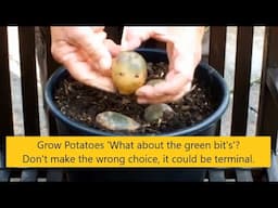 Grow Potatoes  'What about the green bit's'? Don't make the wrong choice, it could be terminal.