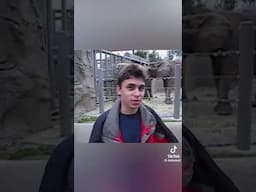 Me at the zoo(YouTube’s first video)