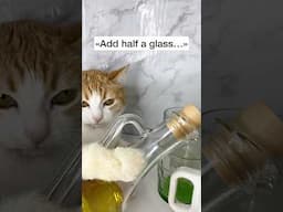 Which mug should I use?😿 #funny #cat
