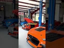 VMP is the One Stop Shop for You! #vmpperformance