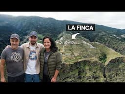HICIERON UNA FINCA DE CAFÉ POR SU HIJA | El Cafetal en Canarias #04