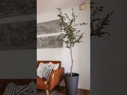 Haciendo mi propio árbol de olivos #decoração #manualidades #reels #olivetree
