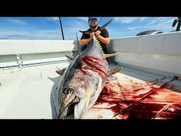 HUGE TOPWATER TUNA (Epic YFT Fishing) C&C
