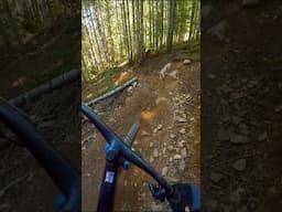 Whistler 🟦 #mtb #mtblife #whistlerbikepark