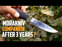 Best Value Fixed Blade Knife? Morakniv Companion Review After 3 Years!