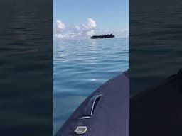 Surf check from the yacht in French Polynesia #millenniallegends #sailing