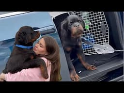 Baloo Has Arrived in His New Home | Vero Beach, Florida, USA