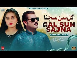Gal Sun Sajna (Boliyan) – Official Music Video | Ameen Tady | گل سُن سجنا (پنجابی بولیاں)