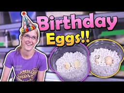Hognose Snakes Laid Eggs on my Birthday!!