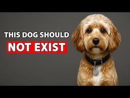 How Humans Are Ruining Dogs