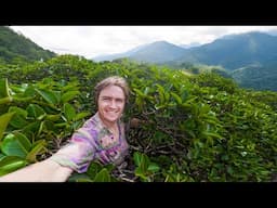 3 Day Tree Climbing Challenge: Can I Coach Pro Highliner @Yehslacks to Climb Giant Trees?