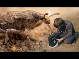 The First Bugs of Spring! - Macro Walks ep11