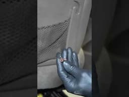 Perfect Example of Why You NEED a Steamer to Clean Your Car!