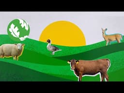 Land Protection Agreements Explained: Safeguarding Land and Wildlife