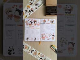 🏮 February 2025 bullet journal flip through 🐼